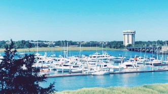 Processed with VSCO with hb2 preset