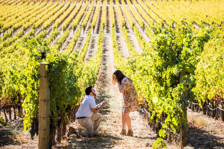 Best Proposal Wineries in the Napa Valley - Stags Leap Winery, Yountville - CA