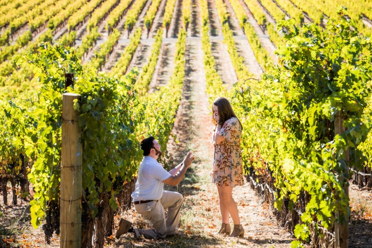 Best Proposal Wineries in the Napa Valley - Stags Leap Winery, Yountville - CA
