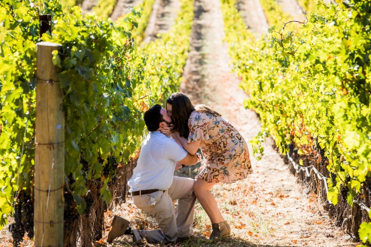 Best Proposal Wineries in the Napa Valley - Stags Leap Winery, Yountville - CA